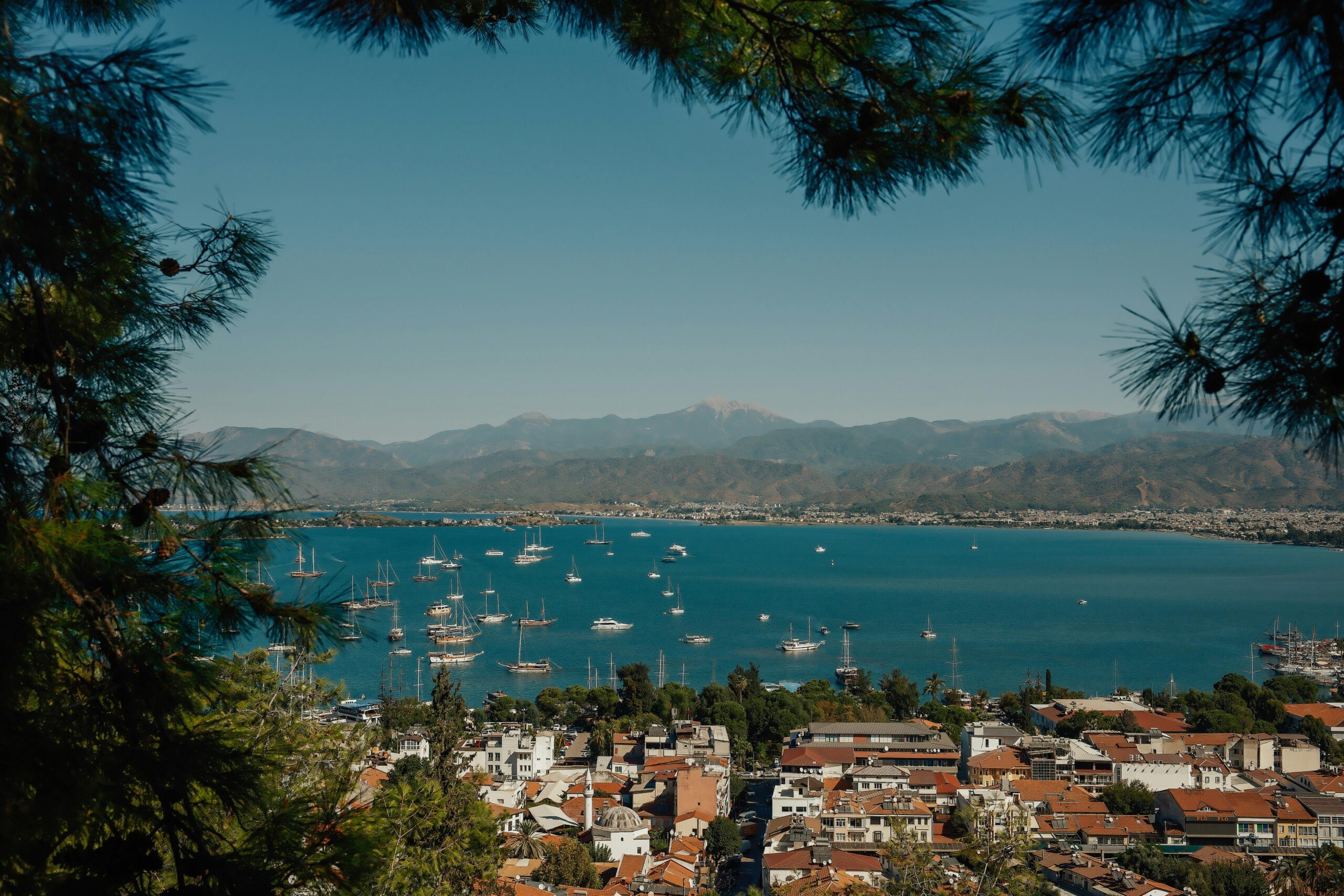 A serene Mediterranean harbor with sailboats, framed by lush pine trees and distant mountains in the backdrop.